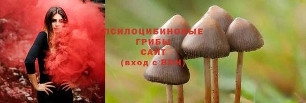 дживик Сосновоборск