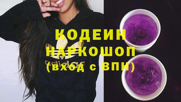 винт Няндома