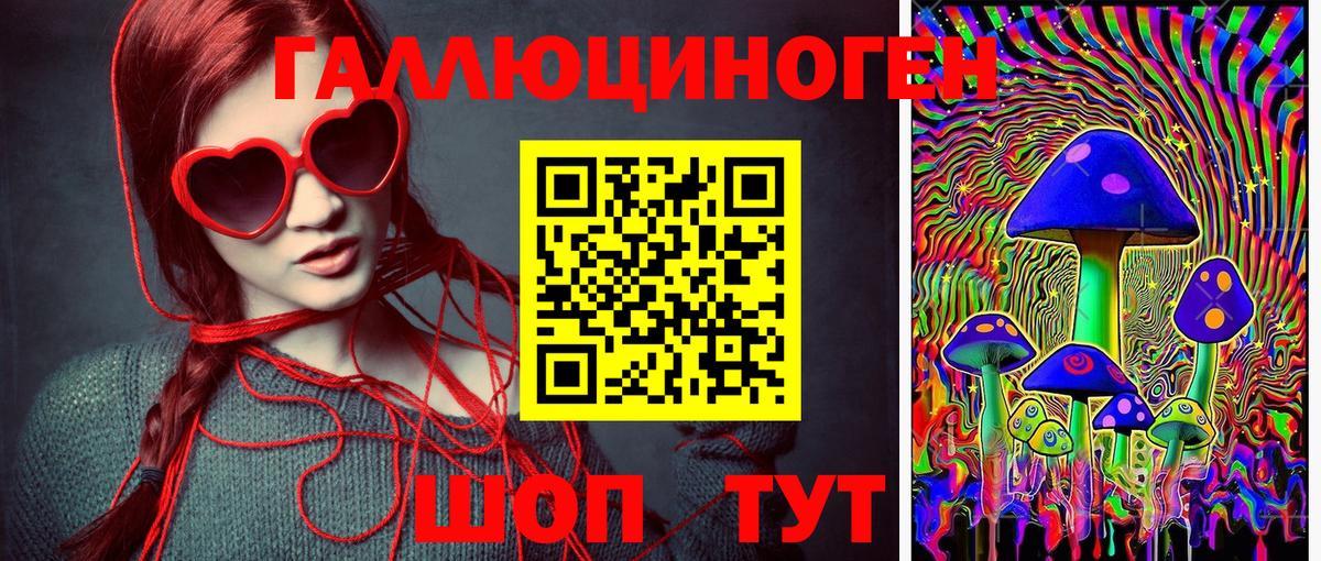 Псилоцибиновые грибы Cubensis  Вход с VPN  Феодосия 